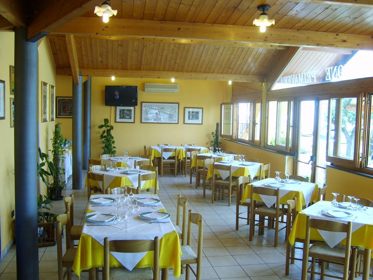 Primavera Hotel Senigallia
